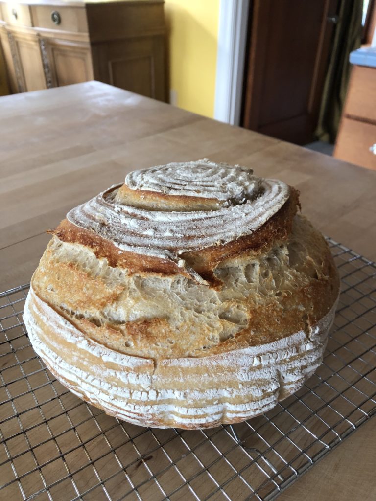 stiff sourdough starter Stiff sourdough starter